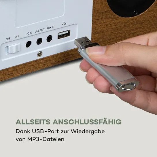 Інтернет-радіо Auna Silver Star Stereo Internet DAB+/FM-радіо, WiFi, BT, DAB+/FM, Дуб 10032916 фото